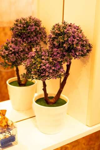 Апартаменты Bivalvia Apartments Улцинь Апартаменты с видом на море-1