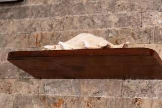 Апартаменты Bivalvia Apartments Улцинь Апартаменты с 1 спальней-2