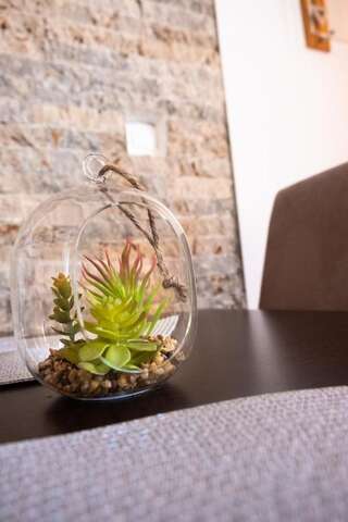 Апартаменты Bivalvia Apartments Улцинь Апартаменты с 1 спальней-5