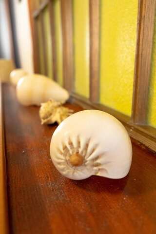 Апартаменты Bivalvia Apartments Улцинь Апартаменты с террасой-1