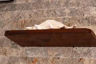 Апартаменты Bivalvia Apartments Улцинь Апартаменты с 1 спальней-15