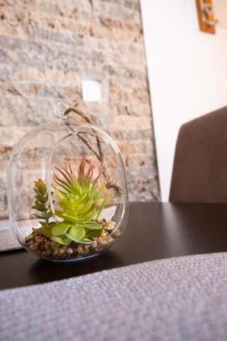 Апартаменты Bivalvia Apartments Улцинь Апартаменты с 1 спальней-16