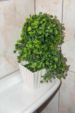 Апартаменты Bivalvia Apartments Улцинь Апартаменты с 1 спальней-31