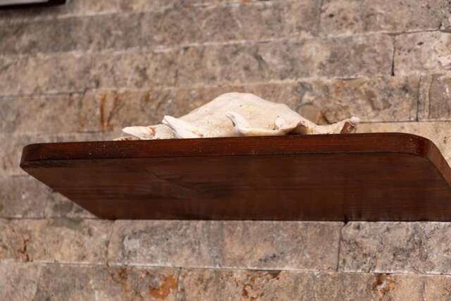 Апартаменты Bivalvia Apartments Улцинь-36